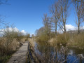 Brenner Moor Rundweg Brenner Moor Rundweg