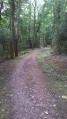 Chemin des Merisiers Chemin des Merisiers