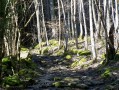 Neuweiher und Gresson Neuweiher und Gresson