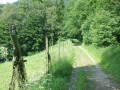 Feldweg Feldweg