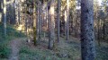 Der Andlau-Wasserfall im Wald von Le Hohwald Der Andlau-Wasserfall im Wald von Le Hohwald
