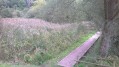 La roseliere La roseliere