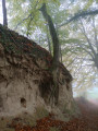 Lösshohlwege-Pfad Bickensohl - Vogtsburg im Kaiserstuhl Lösshohlwege-Pfad Bickensohl - Vogtsburg im Kaiserstuhl