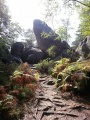 Der Weg der Aussichtspunkte (Sentier des Belvédères) - Fontainebleau Der Weg der Aussichtspunkte (Sentier des Belvédères) - Fontainebleau