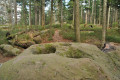 Pierres à cupules Pierres à cupules