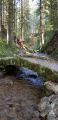 Saut de la Bourrique Saut de la Bourrique
