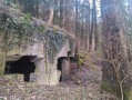 Die südlichen Schützengräben am Hartmannswillerkopf Die südlichen Schützengräben am Hartmannswillerkopf