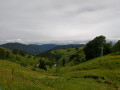 Rundwanderung auf dem Schauinsland Rundwanderung auf dem Schauinsland