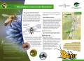 Bienenlehrpfad Baden-Baden (Geroldsau bis Gunzenbach) Bienenlehrpfad Baden-Baden (Geroldsau bis Gunzenbach)