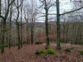 Rundweg zwischen Herdorf und Biersdorf Rundweg zwischen Herdorf und Biersdorf