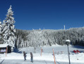 Schneeschuhtour vom Ruhestein zum Mummelsee Schneeschuhtour vom Ruhestein zum Mummelsee