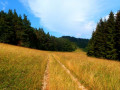 Traufgang Wiesenrunde Traufgang Wiesenrunde