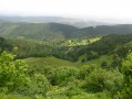 Der Petit Ballon vom Col de Boenlesgrab aus Der Petit Ballon vom Col de Boenlesgrab aus
