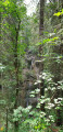 Entlang des Schwarzwasserbachs im Kleinwalsertal Entlang des Schwarzwasserbachs im Kleinwalsertal